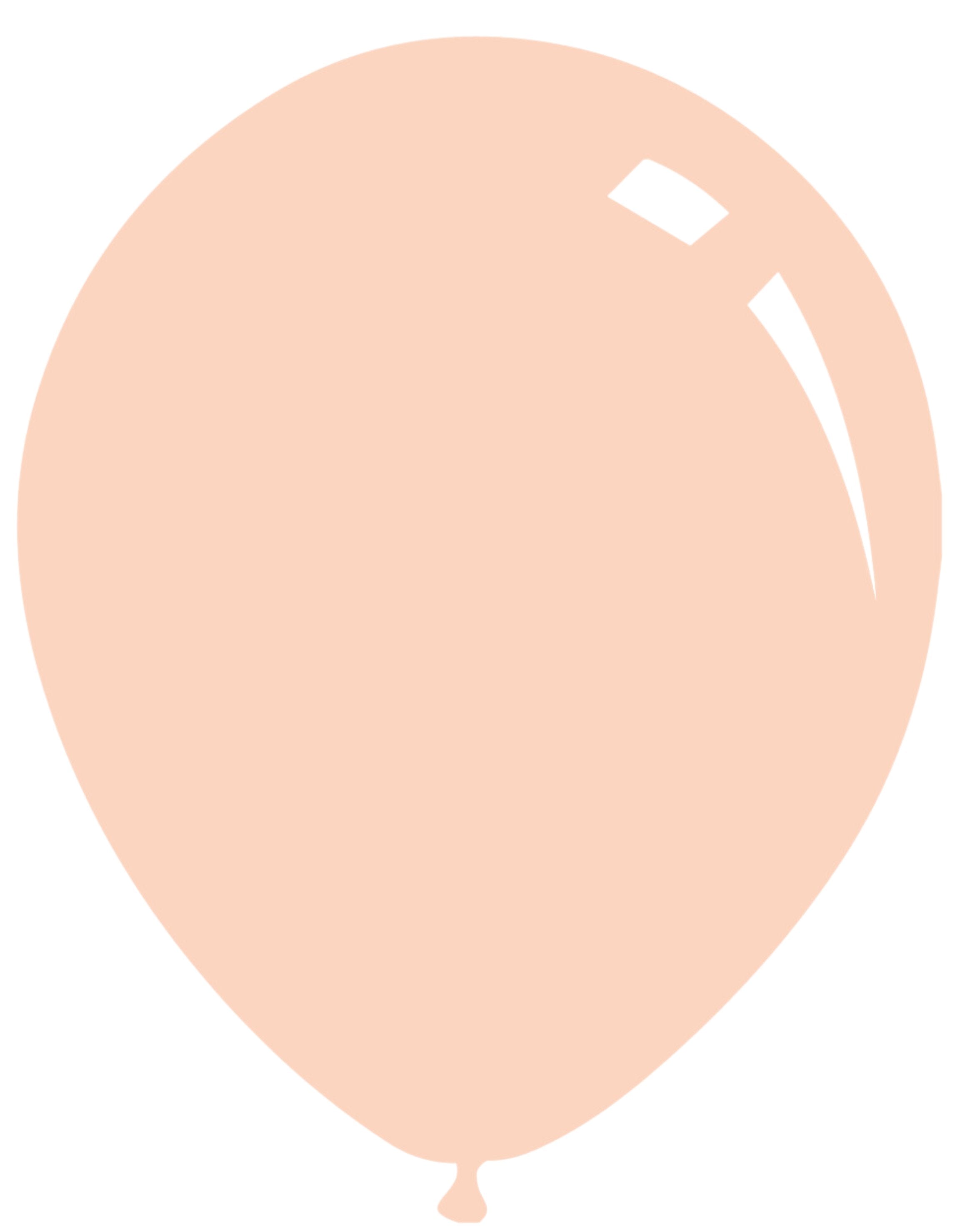 Latex Balloons Pastel Deco Pink Blush