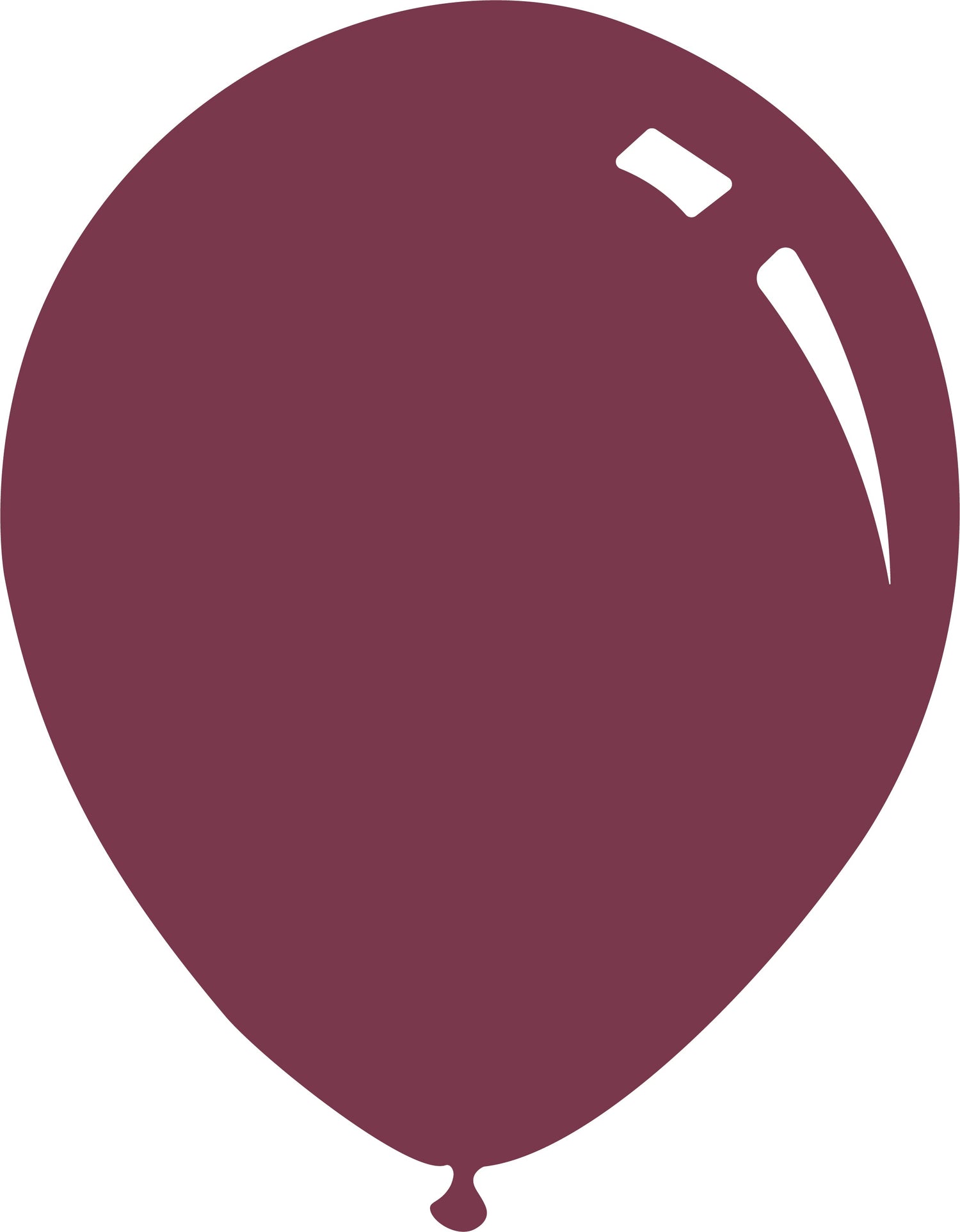 Latex Balloons Pastel Deco Wild Berry