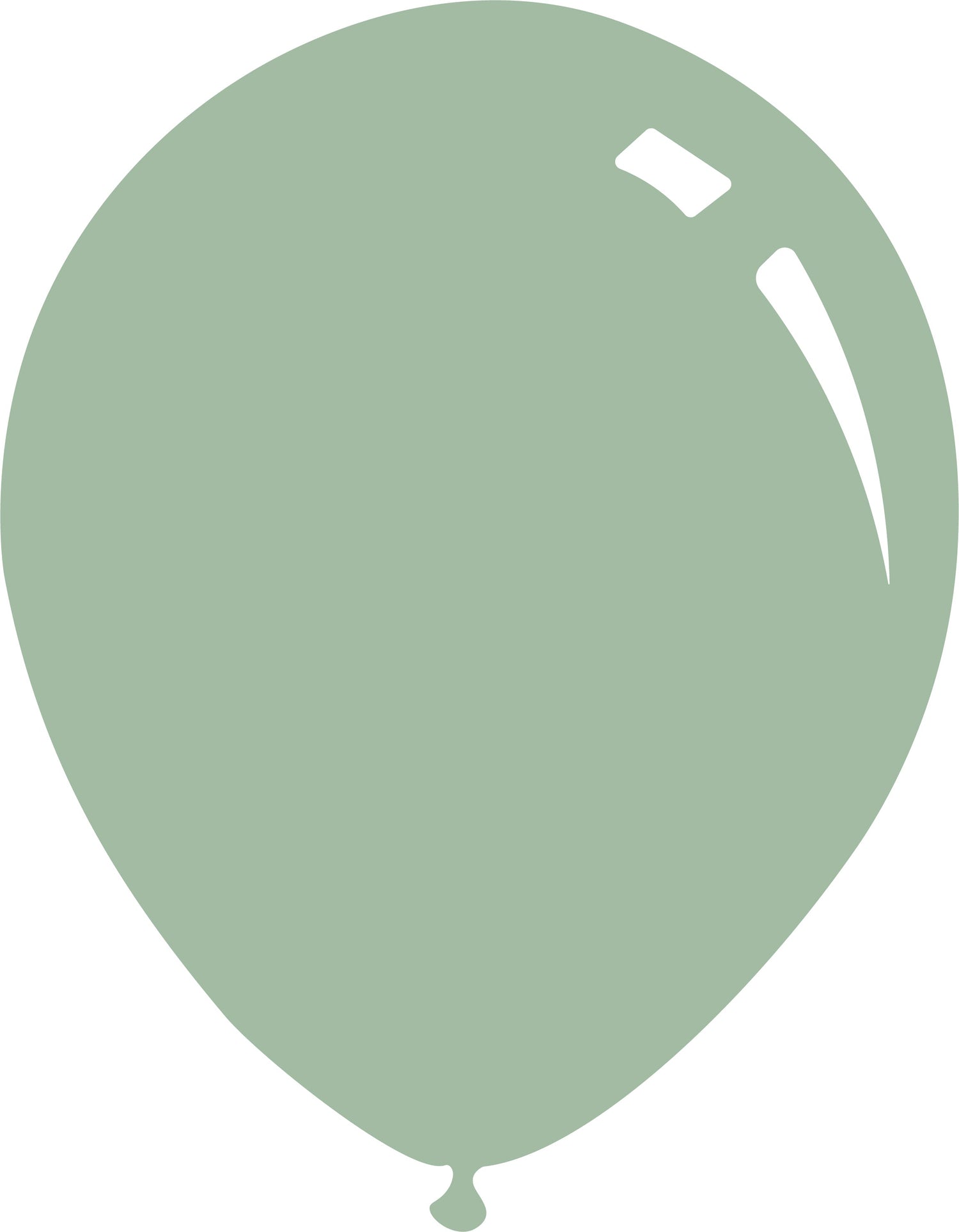 Latex Balloons Pastel Deco Eucalyptus